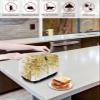 2 Slice Toaster Cover Dustproof Kitchen Small Appliance Cover Watercolor Spring Plant Eucalyptus Leaves Dust Cover Polyester Bread Machine Cover Protector with Loop for Standard 2 Slice Toasters view 4