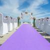 MDybf Wedding Aisle Slide, Indoor Party Non-Woven Exhibition Carpet, Celebration Cat Walk Carpet, Opening Carpet (Color : Purple, Size : 1x10m) view 2