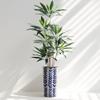 Artificial Tree in Modern Pattern Planter, Fake Dracaena Tree Silk Tree for Indoor and Outdoor Home Decoration - 66" Overall Tall (Plant Pot Plus Tree) view 2