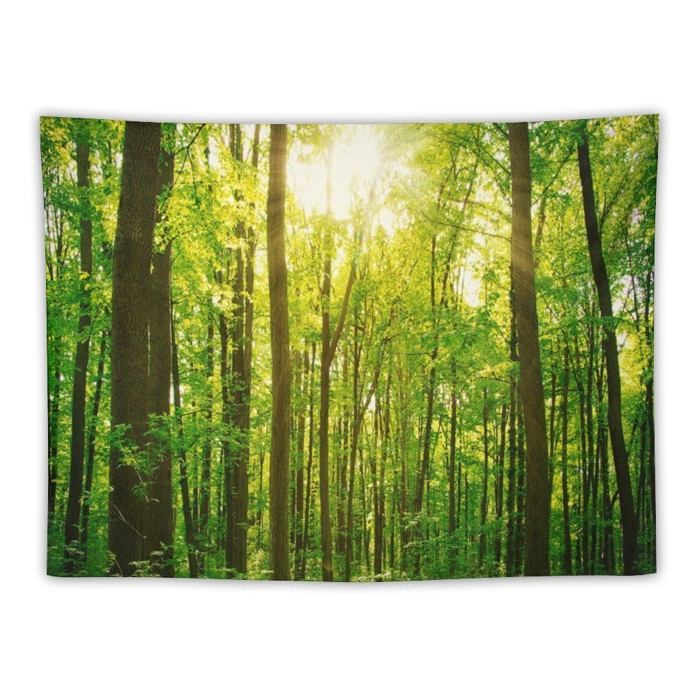 Asudfjgh Custom Wall Tapestry with Name and Signs, Personalized Backdrop for Wedding Birthday Fathers Mothers Valentines Day Gift, Horizon 40"x30"