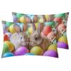 zcwl Easter Bunny Duvet Cover Cal King Size | Easter Egg Rabbit Bedding Set | 3 Piece | Soft Microfiber Patterned Comforter Cover with Zipper Ties & 2 Pillowcases | Easter Bedroom Decor view 2