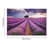 LZQPOEAS Lavender fields Tapestry Wall Hanging for Living Room 60 x 51 in Tapestry for Bedroom Home Decor Tapestries Wall Art Hanging Personalized Wall Blanket Wall Hanging Decor for Party Supplies view 2