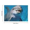 Dolphin with a Smile Tapestry Wall Hanging for Living Room 60 x 51 in Tapestry for Bedroom Home Decor Tapestries Wall Art Hanging Personalized Wall Blanket Wall Hanging Decor for Party Supplies view 2