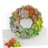 Ipetboom Round Wire Wreath Forms: 8.26in Wire Wreath Frame Hanger Succulent Metal Hanging Plant Holder - Metal Frame Form Hanger Air Plant Heart (NO s) view 4