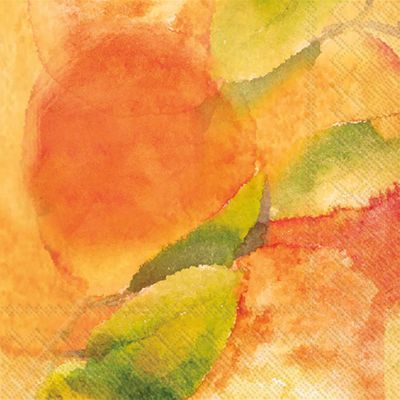 Boston International Paper Napkins Disposable 3-Ply Party Pack | Watercolor Art, 5" x 5" Cocktail Napkin 20-Count, Clementine