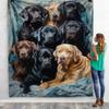365CUSGIFTS Labrador Fleece and Sherpa Blanket, Pattern Soft Throw for Couch, Warm and Lightweight for All Seasons, Queen view 2