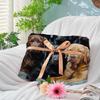 365CUSGIFTS Labrador Fleece and Sherpa Blanket, Pattern Soft Throw for Couch, Warm and Lightweight for All Seasons, Queen view 4