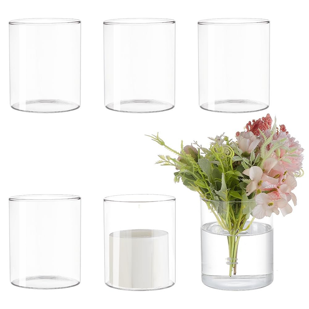 BENECREAT 6 Pcs Glass Cylinder Vases, 4 Inch (H) x 3.3 Inch(W) Clear Hydroponic Plant Bottles, Modern Decorative Centerpieces Vases for Micro Landescape, Flower, Home, Weddings, Party