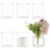 BENECREAT 6 Pcs Glass Cylinder Vases, 4 Inch (H) x 3.3 Inch(W) Clear Hydroponic Plant Bottles, Modern Decorative Centerpieces Vases for Micro Landescape, Flower, Home, Weddings, Party view 1