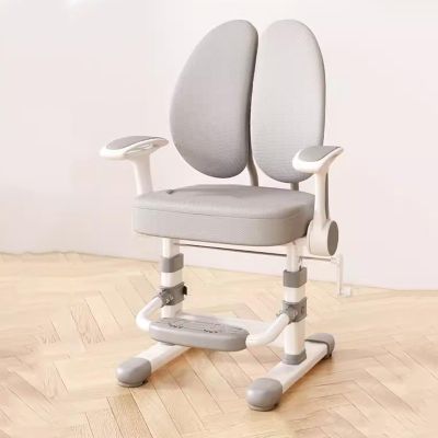 YCKEGEW Children's Chair for Corrective Sitting Kids Growing Desk Chair with Footrest and Arm,Height Adjustable Ergonomics Chair,Back Support-Multi-Angle Adjustment (Color : Grey)