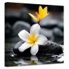 ZXHYWYM Zen Wall Art Frangipani with Spa Stone Picture Prints Meditation Canvas Paintings Yoga Bathroom Artwork Spiritual Wall Decor Framed (Picture-1, (28.00" x 28.00")) view 1
