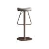 CHICKEN Bar Stool Bar Stool Light Luxury Bar Stool Household Swivel Chair Without Backrest Stainless Steel Liftable (56-82cm) Bar Chair Living Room Chairs (Color : C) view 1