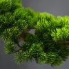 Artificial Plant Artificial Bonsai Pine Tree, 13Inch Faux Potted Plant, Fake Tree Pot Ornaments Cedar Bonsai Plant for Desk Display Artificial Indoor Plants view 2