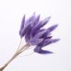 FOSANGPUSHI Bunny Tails Dried Flowers,30Pcs 45cm Natural Bunny Rabbit Tail Grass Real Bouquet Wedding Decoration Pampas Grass Boho Home Decor Purple view 1