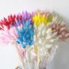 FOSANGPUSHI Bunny Tails Dried Flowers,30Pcs 45cm Natural Bunny Rabbit Tail Grass Real Bouquet Wedding Decoration Pampas Grass Boho Home Decor Purple view 2