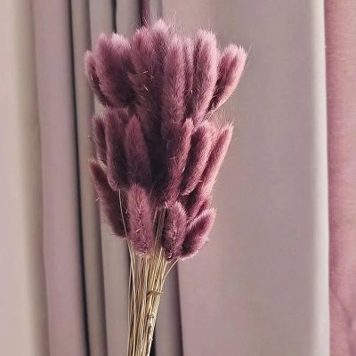 FOSANGPUSHI Bunny Tails Dried Flowers,60Pcs 40cm Natural Rabbit Tail Grass Bunny Tails Dry Flowers Bouquet Photo Props,Home Decor,Wedding Flower Arrangement C