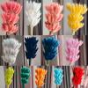 FOSANGPUSHI Bunny Tails Dried Flowers,60Pcs 40cm Natural Rabbit Tail Grass Bunny Tails Dry Flowers Bouquet Photo Props,Home Decor,Wedding Flower Arrangement C view 2