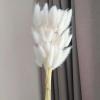 FOSANGPUSHI Bunny Tails Dried Flowers,60Pcs 40cm Natural Rabbit Tail Grass Bunny Tails Dry Flowers Bouquet Photo Props,Home Decor,Wedding Flower Arrangement C view 4