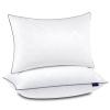 Wellos Standard Pillows Set of 2, Bed Pillows for Sleeping, Down Alternative Pillow with Machine Washable Cover for Back, Stomach or Side Sleepers view 1