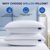 Wellos Standard Pillows Set of 2, Bed Pillows for Sleeping, Down Alternative Pillow with Machine Washable Cover for Back, Stomach or Side Sleepers view 2