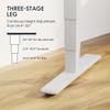 FLEXISPOT E6 MAX Dual Motor 55x28 Inch 3-Stage Heavy Duty Standing Desk, 330lbs Weight Capacity, Height Adjustable Desk w/Cable Management & Wheels (Seamless Maple Desktop + White Frame) view 3