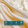 XHCTNN King Ice Silk Sheets Queen - Silky Soft Satin Cooling Comforter Full Size Air Conditioning Quilt Bedding Set 1 Right Angle Sheets + 1 Quilt + 2 Pillowcases(F,200 * 230cm) view 4