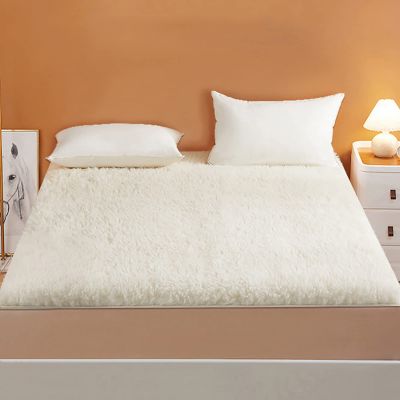 ALEEIK King Size Wool Mattress Topper,100% Australian Wool Mattress Pad,Ultra Soft Foldable Mattress Protector All Season Breathable Mattress Case, Twin