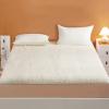 ALEEIK King Size Wool Mattress Topper,100% Australian Wool Mattress Pad,Ultra Soft Foldable Mattress Protector All Season Breathable Mattress Case, Twin view 1