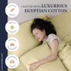 Ashton Sheets 100% Egyptian Cotton Pillow Cases Standard/Queen Size Set of 2 - Luxury 1200 Thread Count Sateen Beige Pillow Cases, Silky Soft Cotton Pillowcases Fits Standard & Queen Size Pillows view 2
