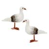 BESPORTBLE 2pcs Nautical Seagull Figurine Foam Bird Statues for Home Decor Charming Outdoor Indoor Accent for Gardens and Celebrations view 1