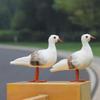 BESPORTBLE 2pcs Nautical Seagull Figurine Foam Bird Statues for Home Decor Charming Outdoor Indoor Accent for Gardens and Celebrations view 3