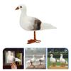 BESPORTBLE 2pcs Nautical Seagull Figurine Foam Bird Statues for Home Decor Charming Outdoor Indoor Accent for Gardens and Celebrations view 4