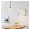 SteFik Log Pendant Lights Acrylic Glass Hanging Lamp for Dining Room Dining-Table Bedroom Restaurant Indoor Decor,Pendant view 4