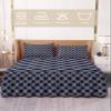 Flower Blue Bed Skirt for Queen Size Bed,Wrap Around Bedding Skirt Gathered Dust Ruffle Bedskirt Sets With 2 Packs Matching Pillow Covers 30"x20",Classic 18 Inch Drop,Minimalist Geometric Abstract Art view 2