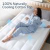 Cloud-Like Queen Mattress Topper - 100% Cotton Top Mattress Pad for Back Pain Relief - Breathable & Naturally Cooling for Hot Sleepers, White view 3