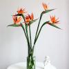Simulated Bird of Paradise Flower Artificial Flower Simulation Flower Bird of Paradise Single Large Soft Glue Simulated Strelitzia for Home Decor Wedding Photography(#1) view 2