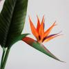 Simulated Bird of Paradise Flower Artificial Flower Simulation Flower Bird of Paradise Single Large Soft Glue Simulated Strelitzia for Home Decor Wedding Photography(#1) view 3