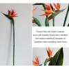 Simulated Bird of Paradise Flower Artificial Flower Simulation Flower Bird of Paradise Single Large Soft Glue Simulated Strelitzia for Home Decor Wedding Photography(#1) view 4