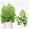 Factory Direct Craft Weather Resistant Artificial Ficus Greenery Stems Set of 6 - Fake Greenery Houseplants for Indoor and Outdoor Arrangements and Displays (25 Inches High) view 1