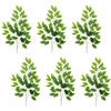Factory Direct Craft Weather Resistant Artificial Ficus Greenery Stems Set of 6 - Fake Greenery Houseplants for Indoor and Outdoor Arrangements and Displays (25 Inches High) view 4