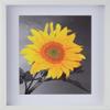 2-3/16" Deep Polystyrene Shadow Box Picture Frame - by WholesaleArtsFrames-com 14x18 2880 Series - White - Made In USA view 3