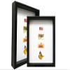 2-3/16" Deep Polystyrene Shadow Box Picture Frame - by WholesaleArtsFrames-com 22x22 2880 Series - Black - Made In USA view 2