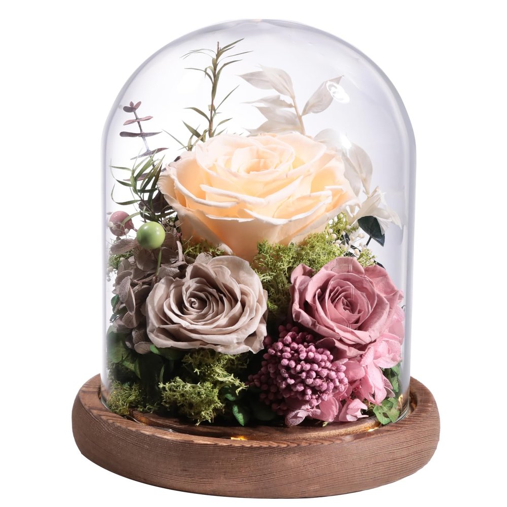 Lovenfold Flowers for Delivery Preserved Rose Gifts for Her,Forever Roses Flowers in Glass Dome,Birthday Gifts for Women Mom Wife Friend(Champagne Rose)
