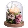 Lovenfold Flowers for Delivery Preserved Rose Gifts for Her,Forever Roses Flowers in Glass Dome,Birthday Gifts for Women Mom Wife Friend(Champagne Rose) view 1