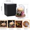 Lovenfold Flowers for Delivery Preserved Rose Gifts for Her,Forever Roses Flowers in Glass Dome,Birthday Gifts for Women Mom Wife Friend(Champagne Rose) view 2