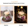 Lovenfold Flowers for Delivery Preserved Rose Gifts for Her,Forever Roses Flowers in Glass Dome,Birthday Gifts for Women Mom Wife Friend(Champagne Rose) view 3