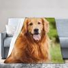 Xsovgoi Golden Retriever Dog Custom Blanket Soft Blankets Cozy Soft Blanket for Couch Bed Living Room Decoration 40"X30" view 1