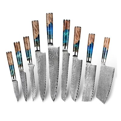 Kitchen Knife Sets, 9 PCS Kitchen Knives Set Damascus Steel VG10 Chef Knife Cleaver Paring Bread Knife Blue Resin and Color Wood Handle