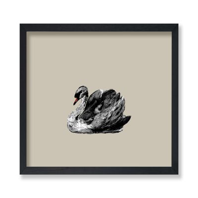 Poster Master Swan Portrait Poster - Retro Bird Print - Swan Artwork - Animal Art - Chic Boho Design - Minimal Farmhouse Print - Aesthetic Kid's Bedroom or Nursery Wall Decor - 8x10 UNFRAMED