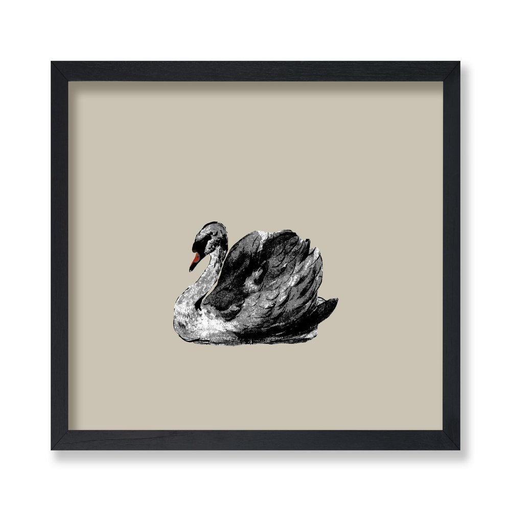 Poster Master Swan Portrait Poster - Retro Bird Print - Swan Artwork - Animal Art - Chic Boho Design - Minimal Farmhouse Print - Aesthetic Kid's Bedroom or Nursery Wall Decor - 8x10 UNFRAMED